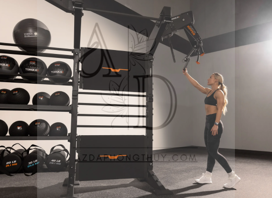 Luxury PowerWall for Gym Training The Ultimate Tool for Strength and Conditioning